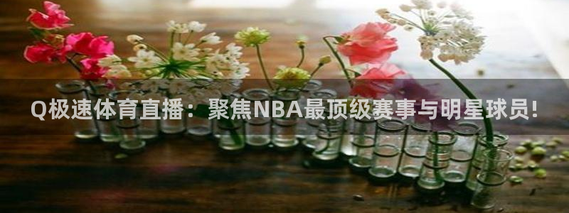 Q极速体育直播：聚焦NBA最顶级赛事与明星球员!