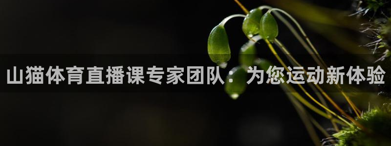 山猫体育直播课专家团队：为您运动新体验