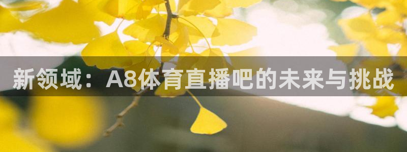 新领域：A8体育直播吧的未来与挑战