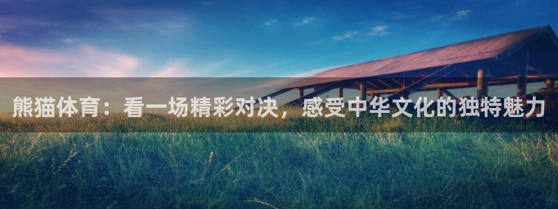 熊猫体育：看一场精彩对决，感受中华文化的独特魅力